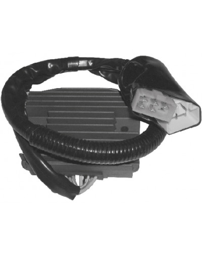 Régulateur Allumage Moto SGR Régulateur HONDA CBR 1100XX 01/06 Régulateur Allumage Moto SGR Régulateur HONDA CBR 1100XX 01/06