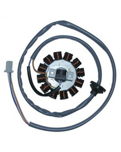 Régulateur Allumage Moto SGR Stator 12Pôles Adapt. YAMAHA BWS 50 EURO2 Régulateur Allumage Moto SGR Stator 12Pôles Adapt. YAMAHA BWS 50 EURO2