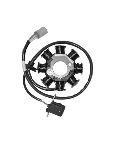 Régulateur Allumage Moto SGR Stator 8 Pôles Adapt. KYMCO PEOPLE 50 Régulateur Allumage Moto SGR Stator 8 Pôles Adapt. KYMCO PEOPLE 50