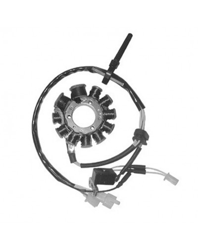 Régulateur Allumage Moto SGR Stator Adapt..SYM JOYRIDE/HD 125/150/200 Régulateur Allumage Moto SGR Stator Adapt..SYM JOYRIDE/HD 125/150/200