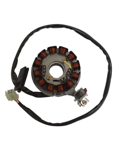 Régulateur Allumage Moto SGR Stator AM6 50 POWER-UP YAMAHA/MINARELLI Régulateur Allumage Moto SGR Stator AM6 50 POWER-UP YAMAHA/MINARELLI