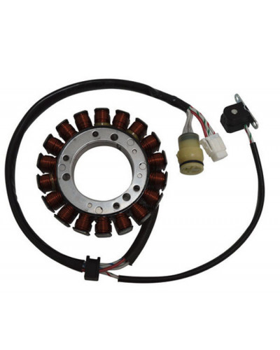 Régulateur Allumage Moto SGR Stator YAMAHA 350 WARRIOR/RAPTOR Régulateur Allumage Moto SGR Stator YAMAHA 350 WARRIOR/RAPTOR