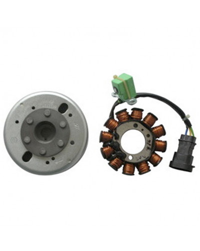 Régulateur Allumage Moto SGR Volant PIAGGIO 50 4T-4V VESPA/SCARABEO Régulateur Allumage Moto SGR Volant PIAGGIO 50 4T-4V VESPA/SCARABEO