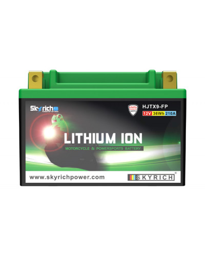 BATTERIE LITHIUM SKYRICH BATTERIE SKYRICH Lithium HJTX9-FP