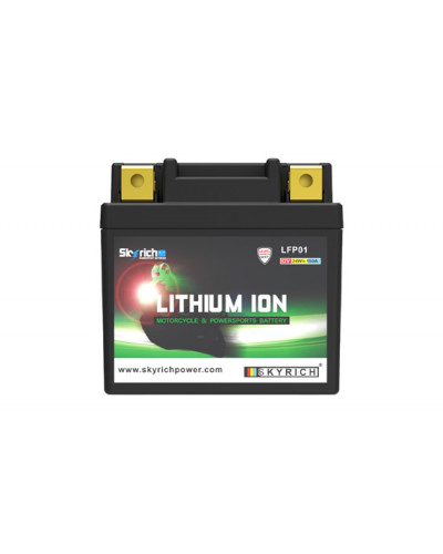 BATTERIE LITHIUM SKYRICH Batterie SKYRICH Lithium LFP01 BATTERIE LITHIUM SKYRICH Batterie SKYRICH Lithium LFP01
