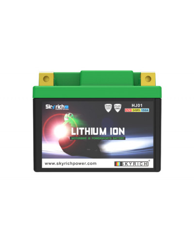 BATTERIE LITHIUM SKYRICH BATTERIE SKYRICH Lithium LFP02Z BATTERIE LITHIUM SKYRICH BATTERIE SKYRICH Lithium LFP02Z