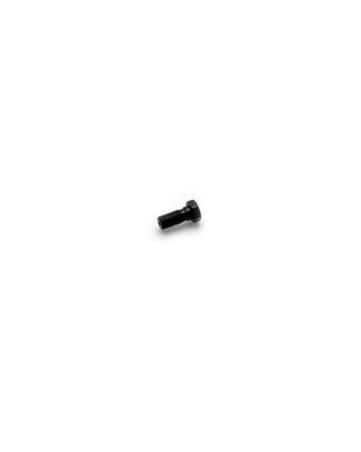 Durites Frein Moto SPEEDBRAKES VIS SIMPLE M10X1.25 NOIR