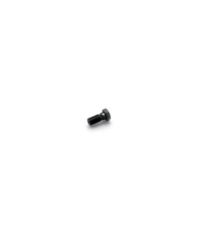 Durites Frein Moto SPEEDBRAKES VIS SIMPLE M10X1.25 TITAN