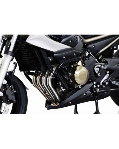 Nerf Bar Bumper Moto SW-MOTECH CRASH BAR