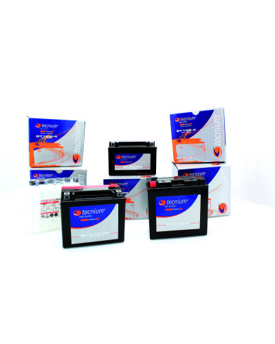 Batterie Moto TECNIUM Batterie TECNIUM 51913 conventionnelle livrée avec pack acide