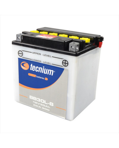 Batterie Moto TECNIUM Batterie TECNIUM BB30L-B conventionnelle livrée avec pack acide Batterie Moto TECNIUM Batterie TECNIUM BB30L-B conventionnelle livrée avec pack acide