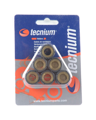 Galet Variateur Moto TECNIUM Jeu de galets TECNIUM 19x17mm 7,4gr - 6 pièces