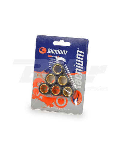 TECNIUM Jeu de galets TECNIUM 20x14mm 15,5gr - 6 pièces