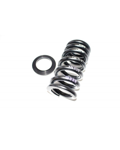 TECNIUM Kit rabaissement TECNIUM -30mm construction 8 BMW F800