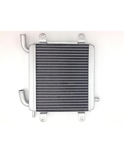 Radiateur Moto TECNIUM Radiateur BIHR - Yamaha Aerox 50 / MBK Nitro 50