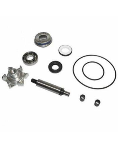 Pompe à Eau Moto TOP PERFORMANCES Kit de réparation de pompe à eau pour HONDA pcx 125