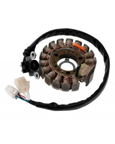 Stator Moto TOP PERFORMANCES STATOR COMPLET MINARELLI 125 CC (YP125)