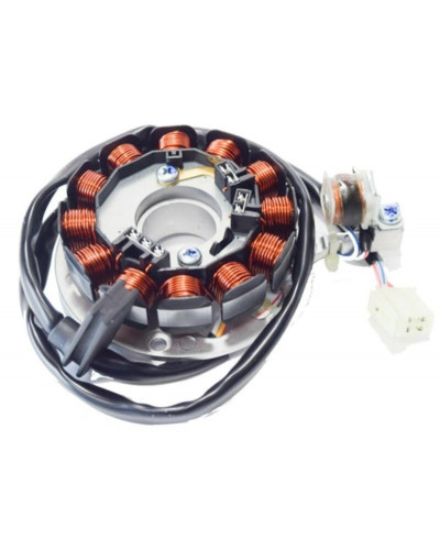 Stator Moto TOP PERFORMANCES Stator TOP PERFORMANCES 12 bobines
