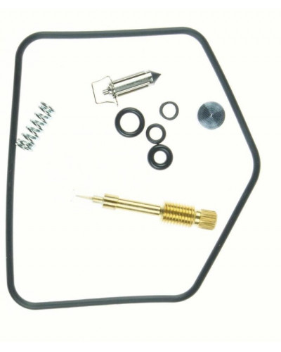 Kit Reconditionnement Carburateur Moto TOURMAX Kit de réparation carburateur TOURMAX