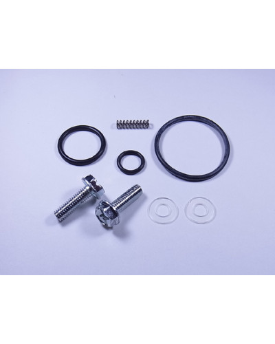 Filtre à Essence Moto TOURMAX Kit réparation de robinet d'essence TOURMAX Suzuki GN125/250/340 - SP370