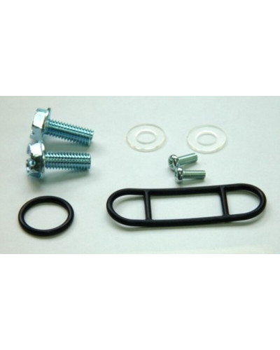 Filtre à Essence Moto TOURMAX Kit réparation de robinet d'essence TOURMAX Yamaha XT600/E/Z