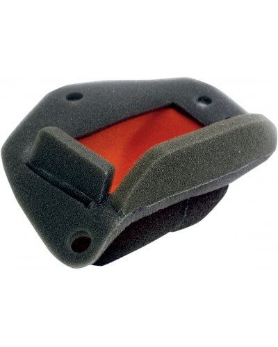 Filtre à Air Moto TWIN AIR AIR FILTER PWRFLW KT BMW