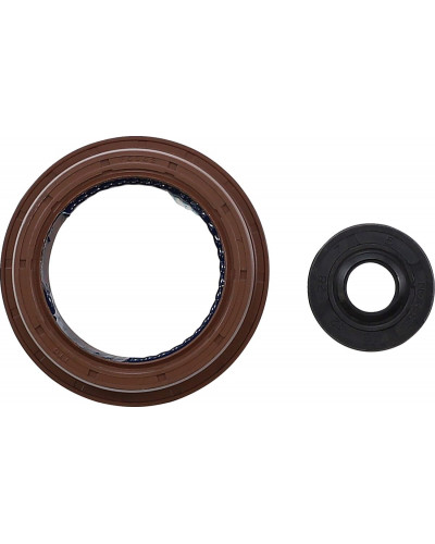 Moteur divers VERTEX OIL SEAL POLARIS