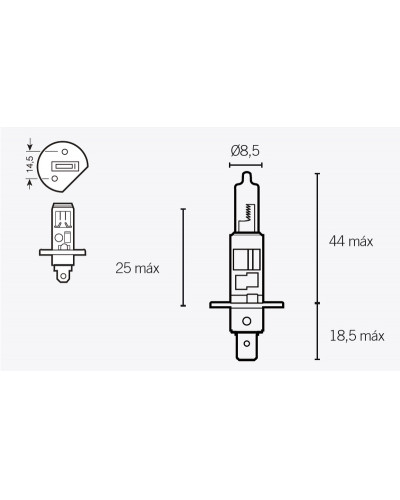 Ampoules Moto V PARTS Boîte de 10 ampoules V PARTS H1 12V55
