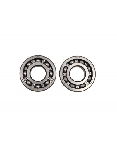 Moteur divers WISECO BEARING MAIN