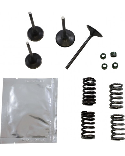 Moteur divers WISECO VALVE KT GB CRF450R 02-06 Moteur divers WISECO VALVE KT GB CRF450R 02-06