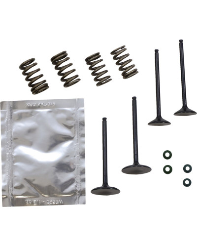 Moteur divers WISECO VALVE KT GB YZ250F 14-18
