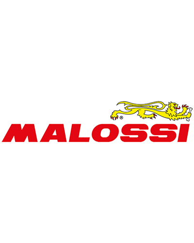 Cylindre Moto MALOSSI Revêtements MALOSSI